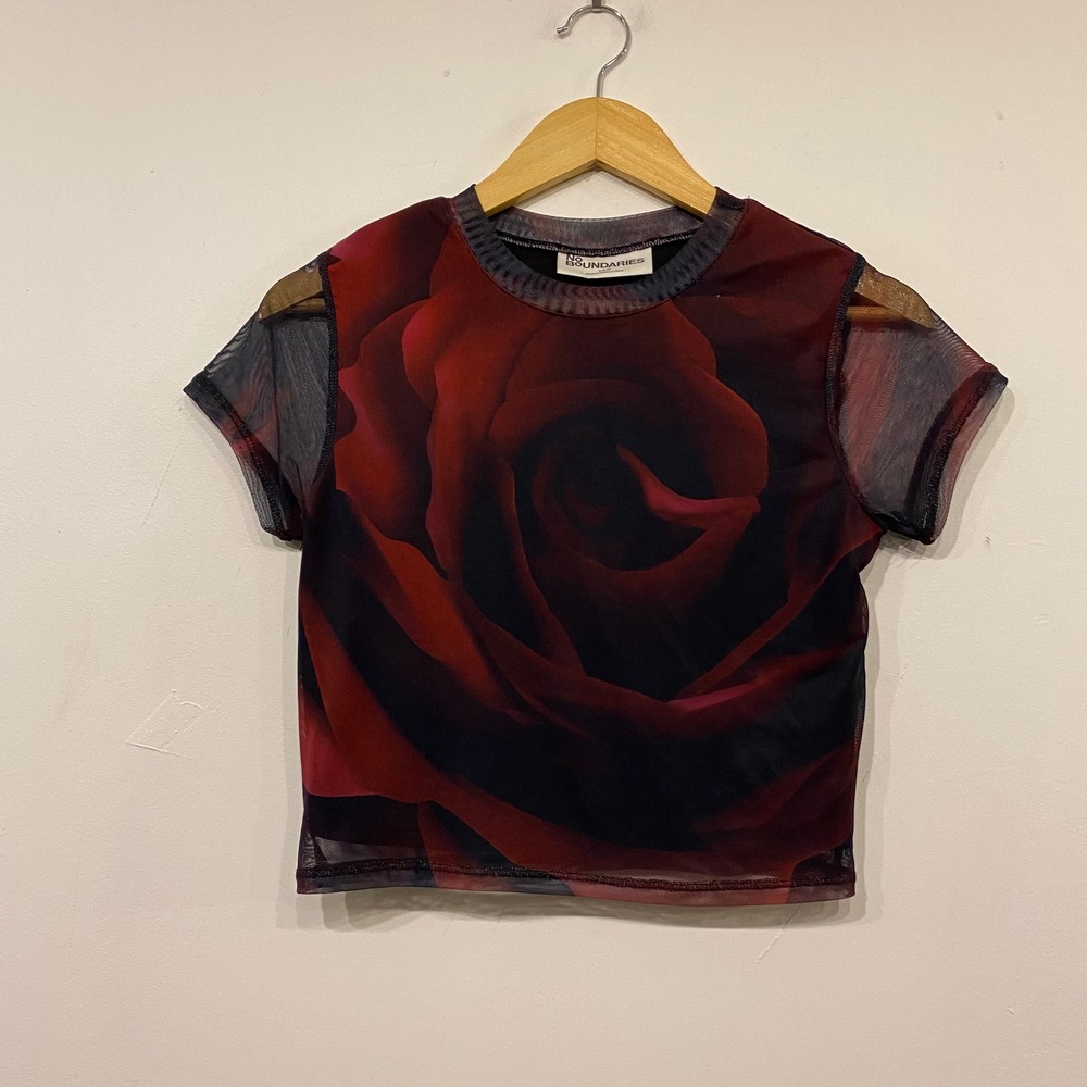 No Boundaries Red Rose Mesh Baby Tee Sheer Floral Crop Top Y2K Small